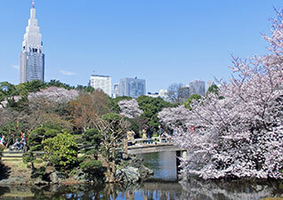 Shinjuku Gyoen National Garden