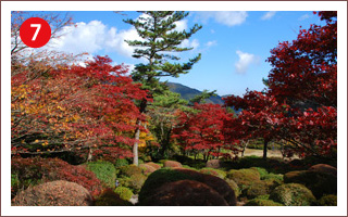 （7）蓬莱園