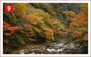 （9）早川渓谷・塔ノ沢付近