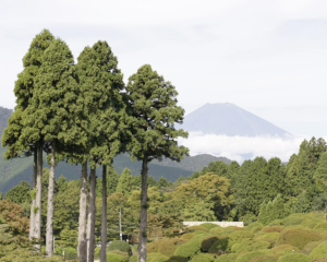 山のホテルから望む富士山