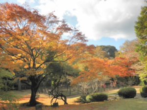 庭園の色とりどりの紅葉