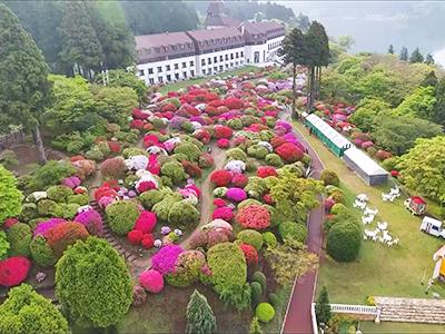 上空から見たツツジ庭園