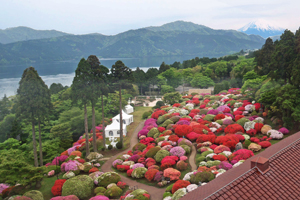 2012年5月20日の庭園風景