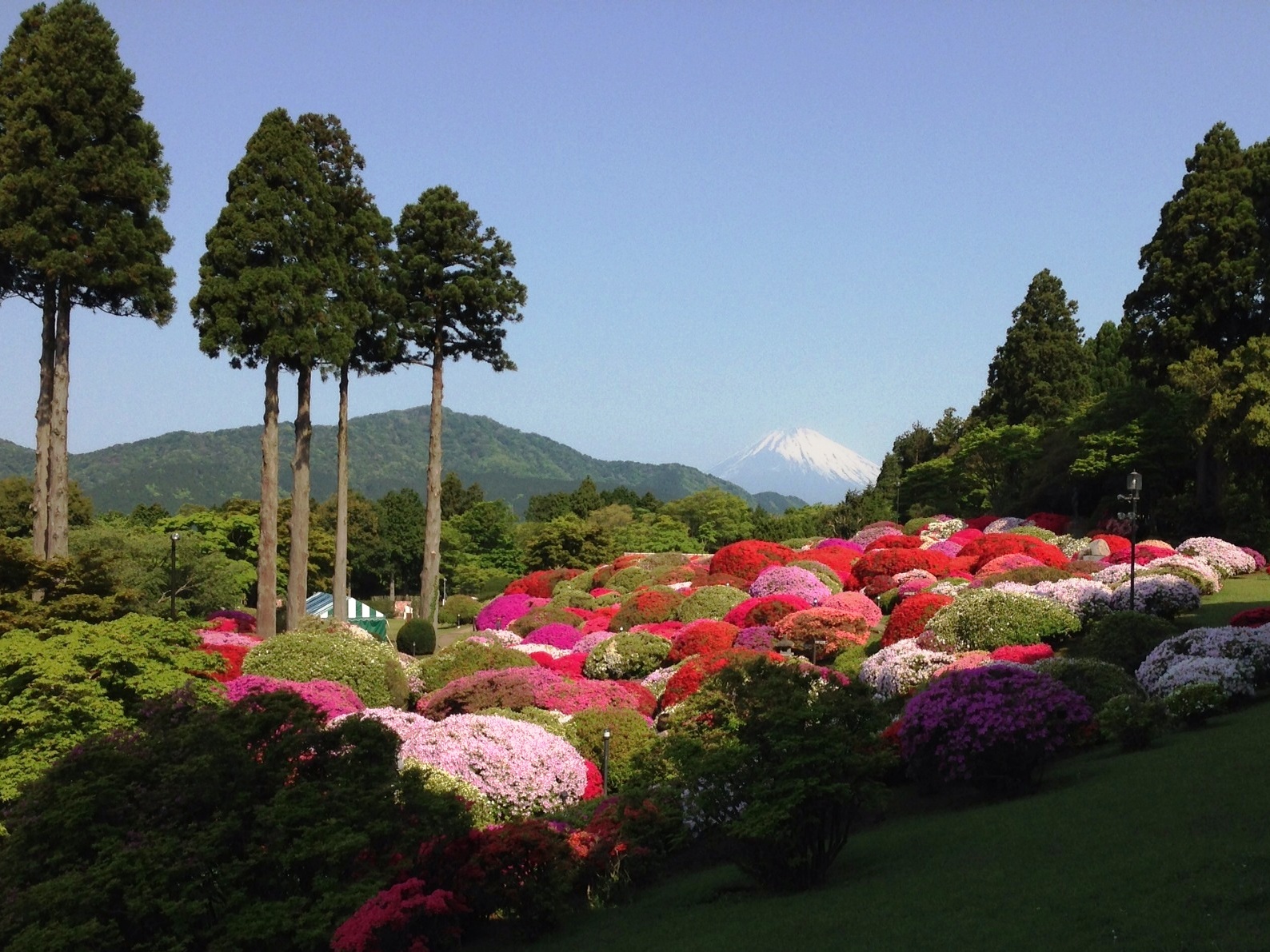 2013年5月14日（火）時の山のホテル　つつじ庭園