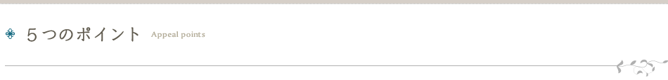 5つのポイント